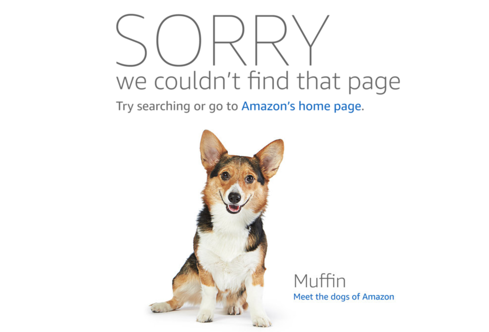 Amazon'un özel 404 sayfası
