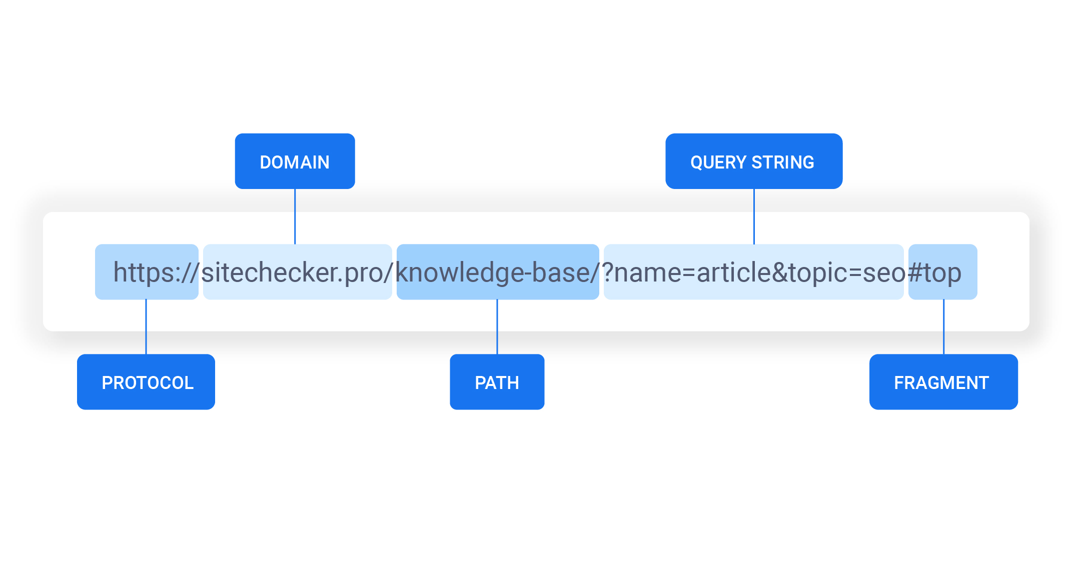 url anatomy diagram