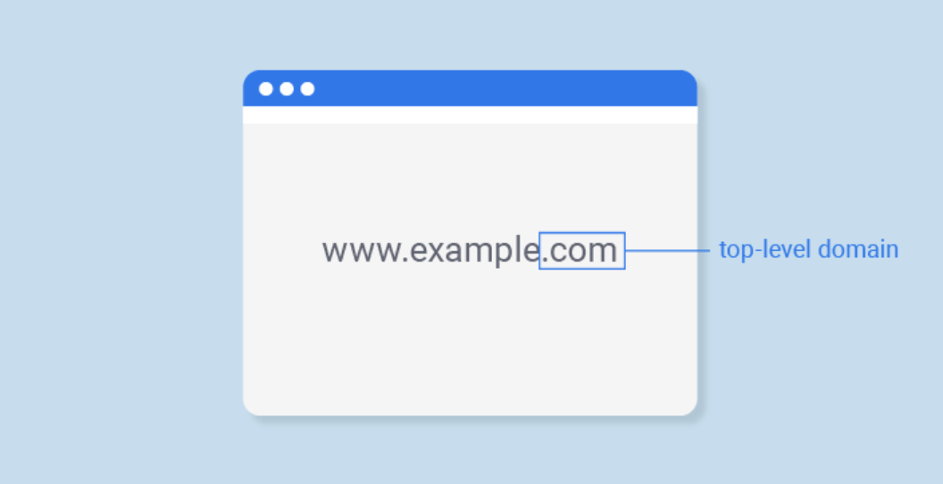 <strong>What is the Best Domain Extension to Choose?</strong>