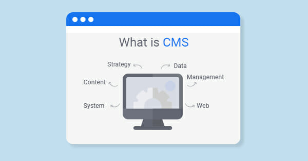 What Is CMS and How to Choose It for Your Website?