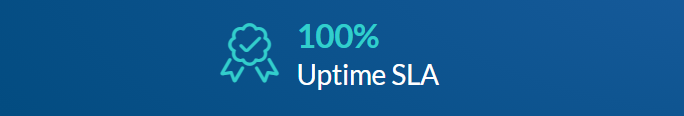ServerMania uptime guarantees
