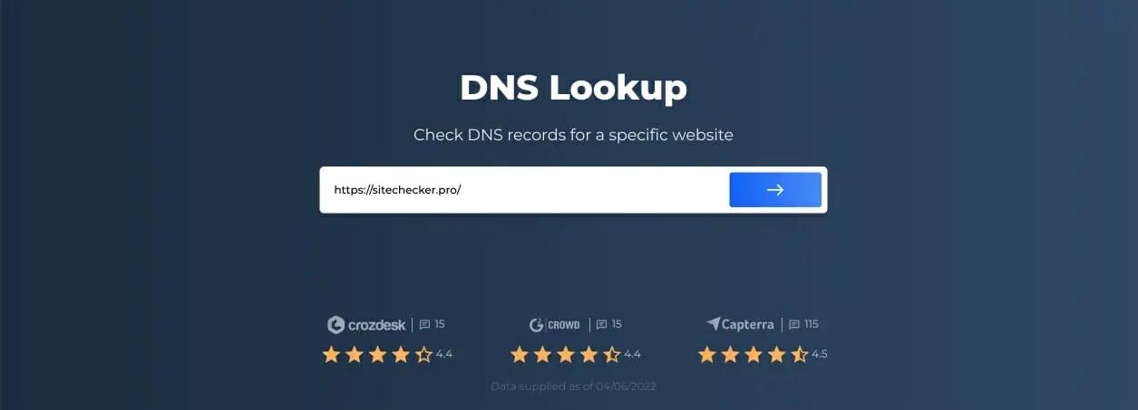 How to input a domain name for a DNS lookup