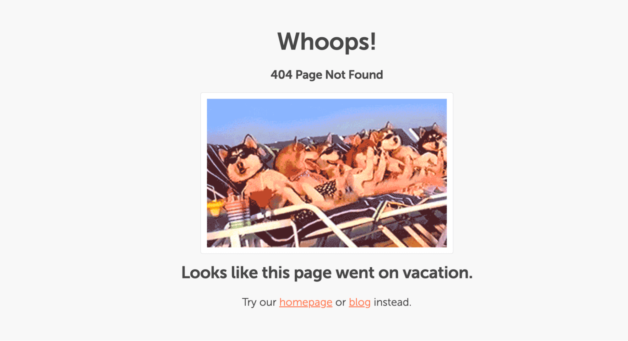 CoSchedule 404 Page