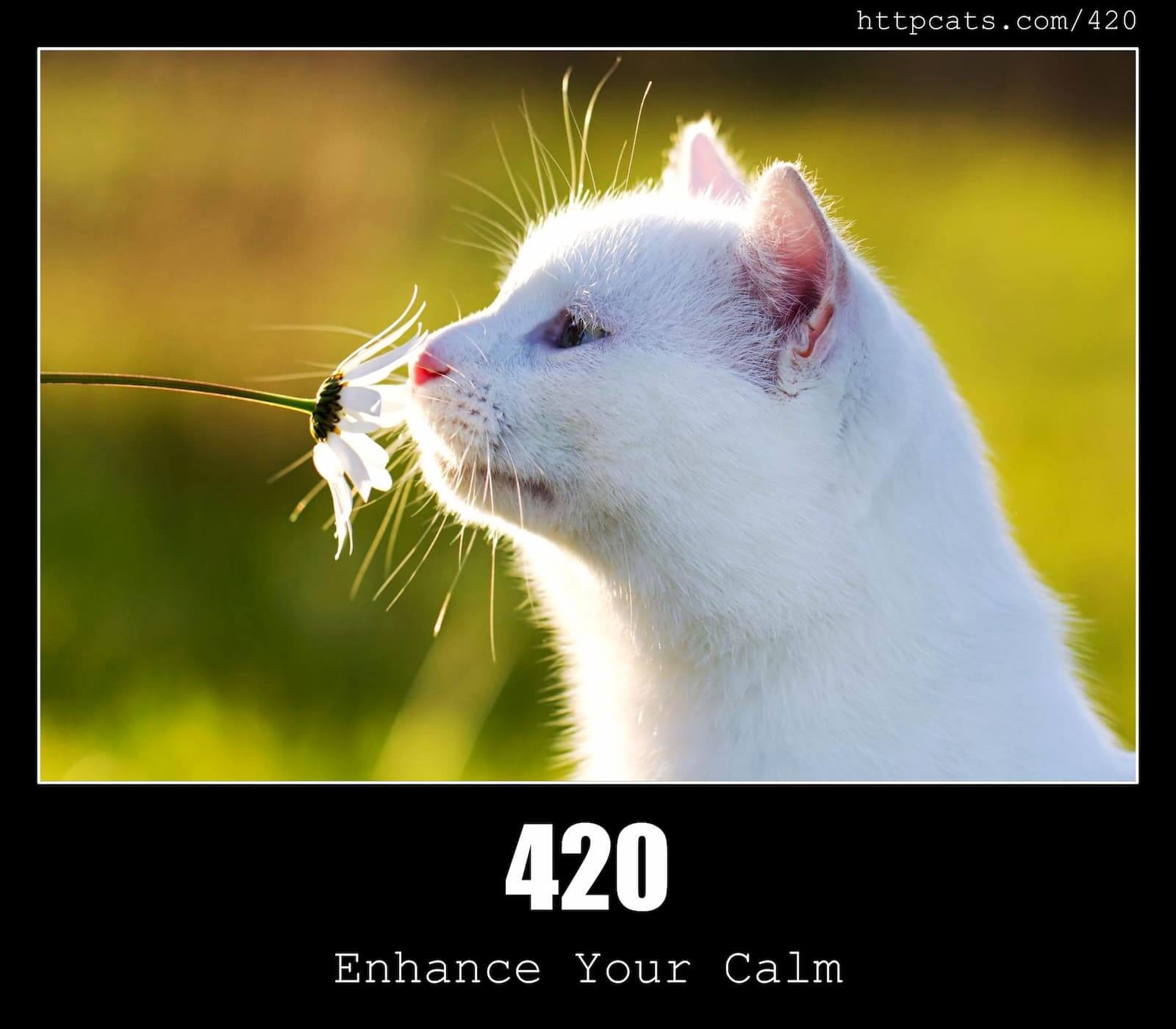 420 Error Enhance Your Calm