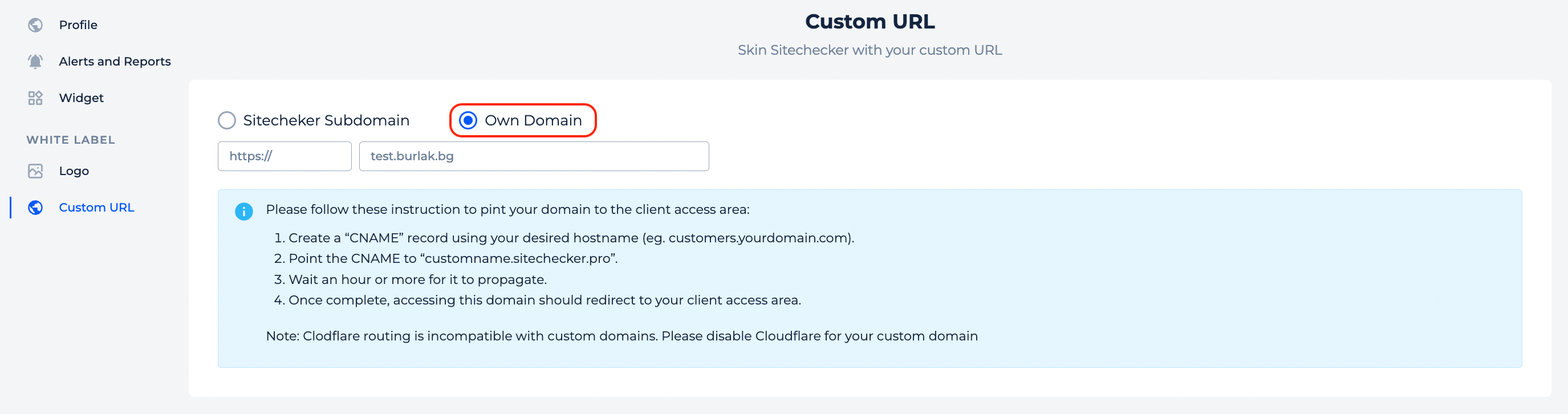 own custom domain in Sitechecker