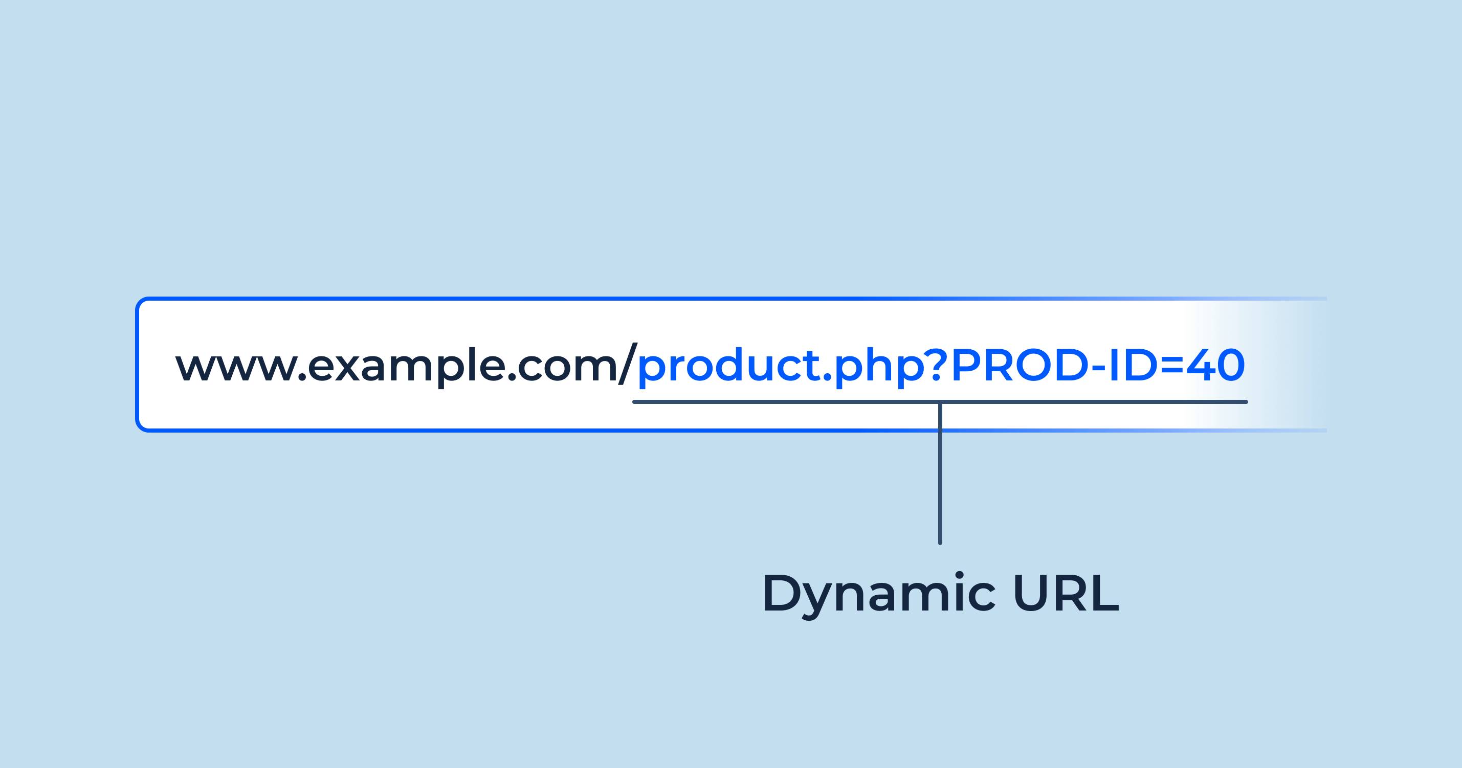 What is a Dynamic URL? Importance, Functionality, and SEO Implications