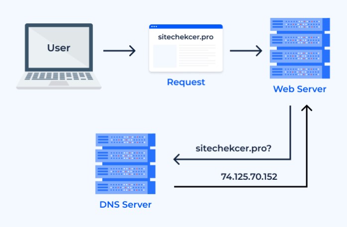 dns chart