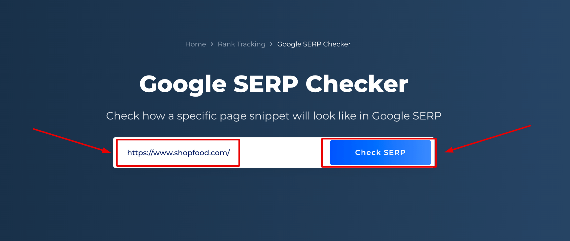 Google SERP Checker