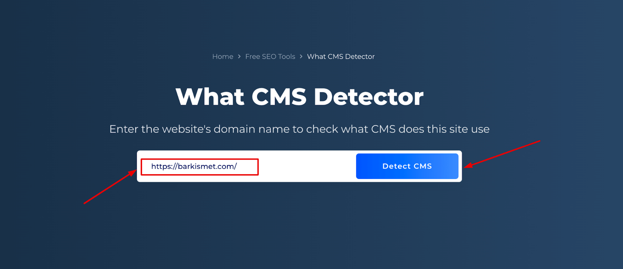CMS Detector