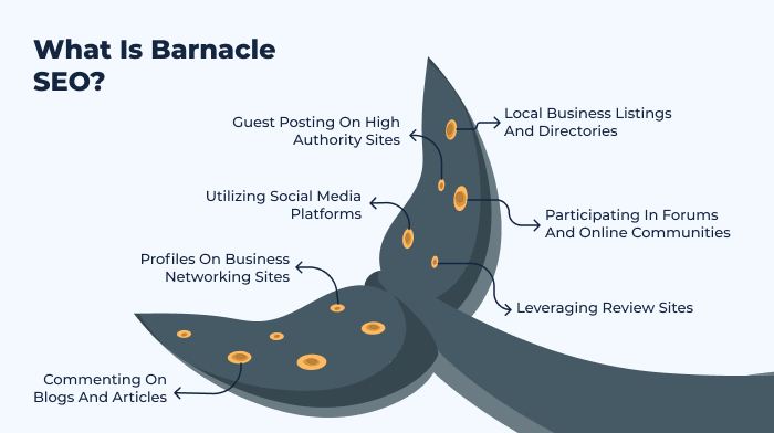 what is barnacle seo chart