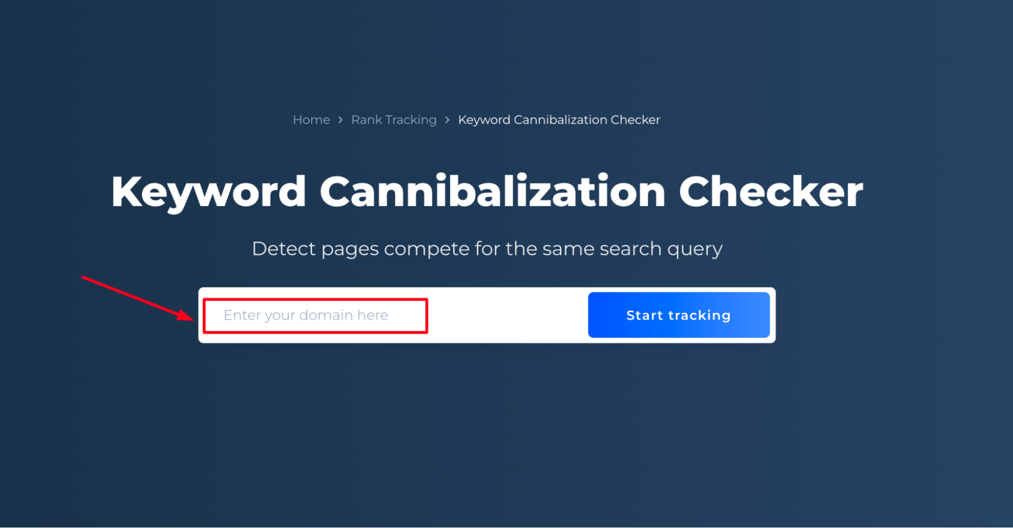 Keyword Cannibalization Checker