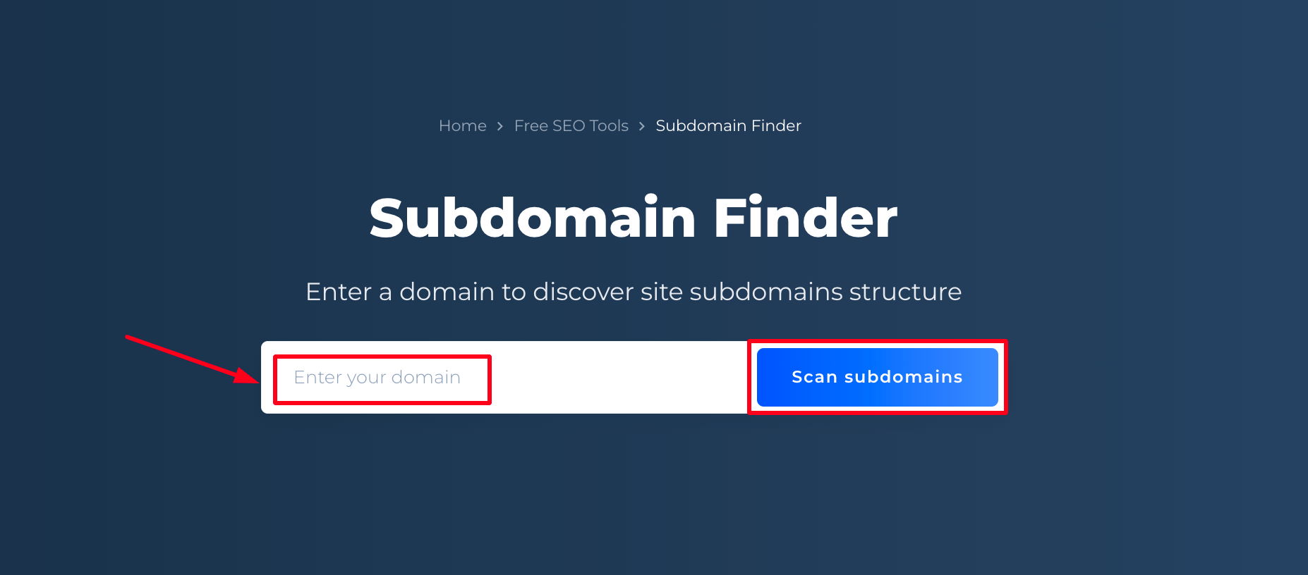 Subdomain Finder