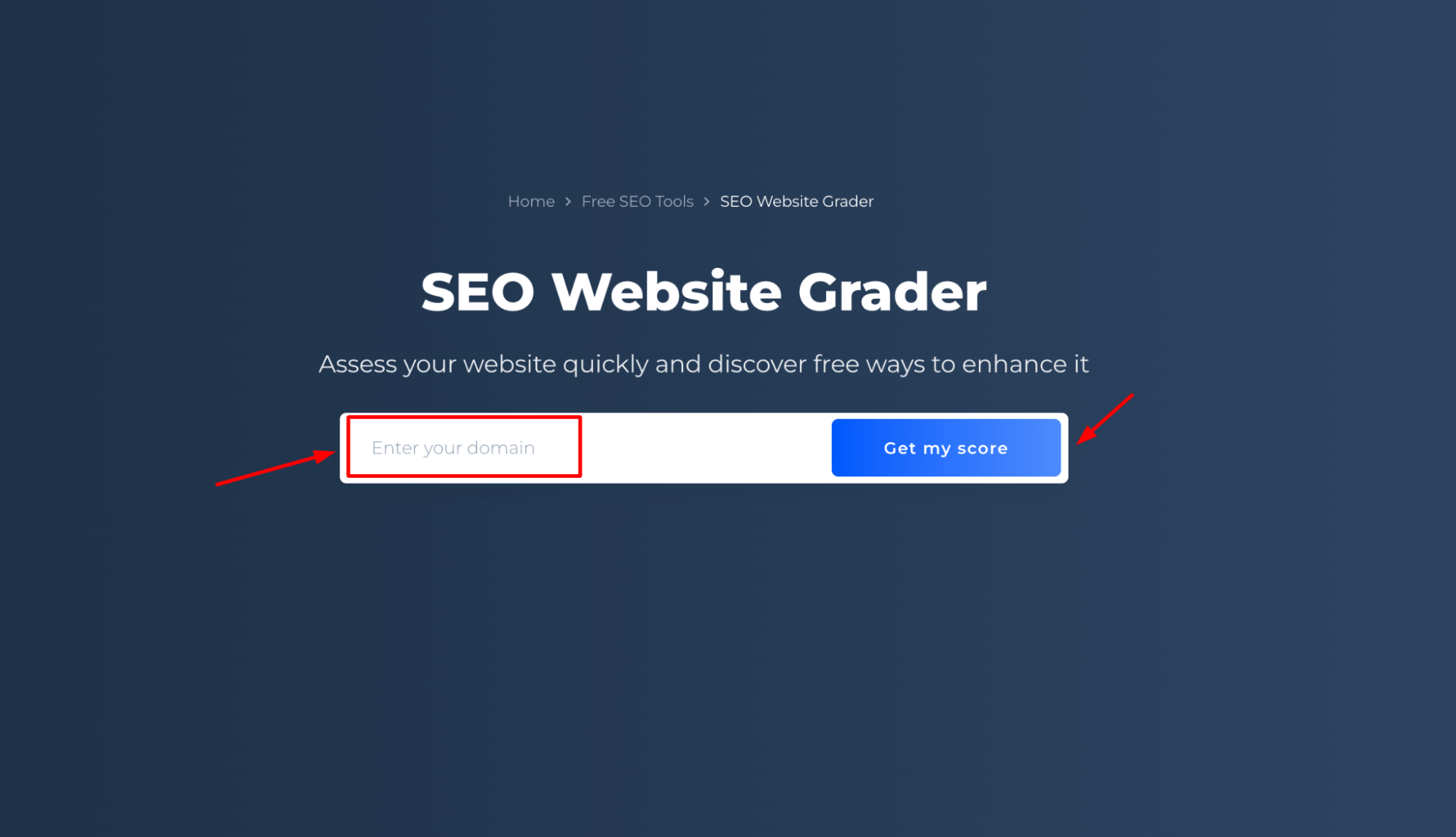 SEO Website Grader