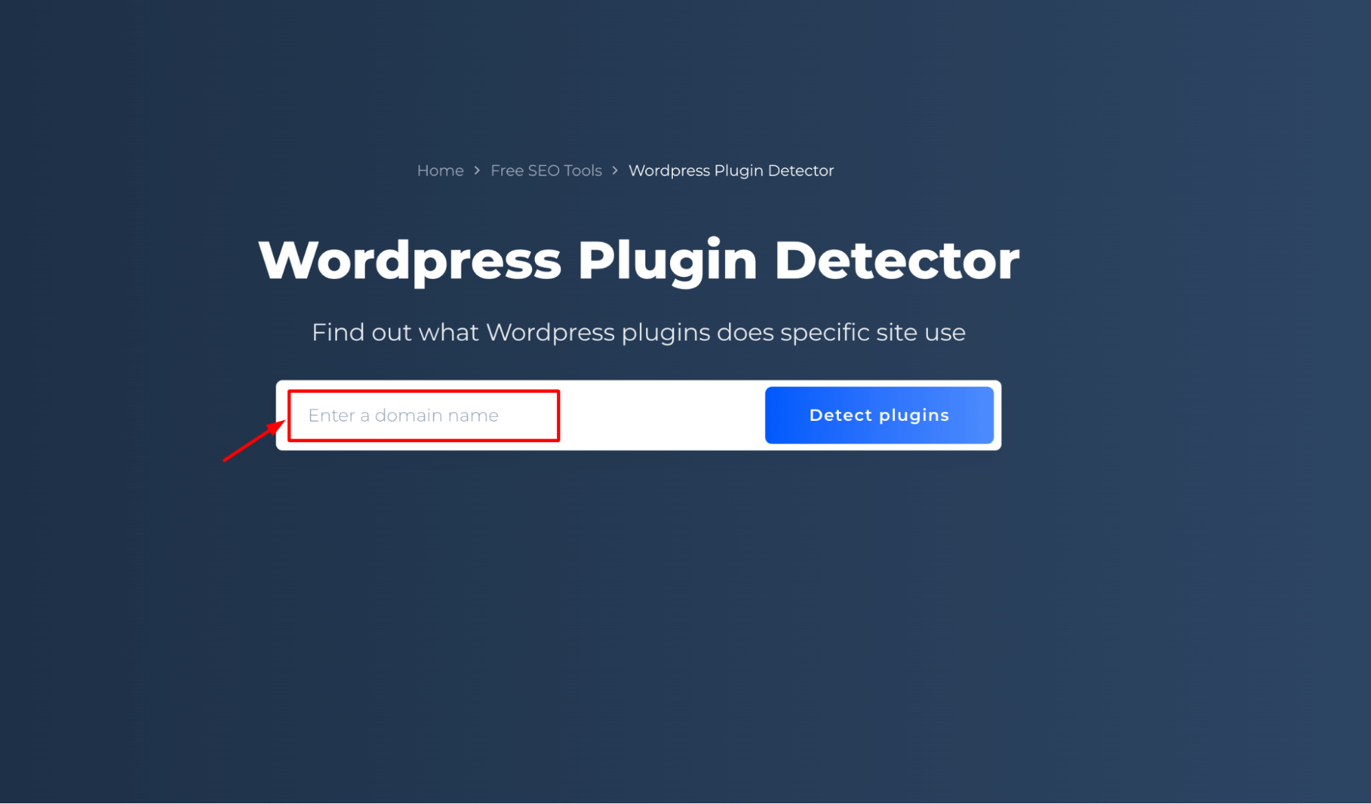 Wordpress Plugin Detector