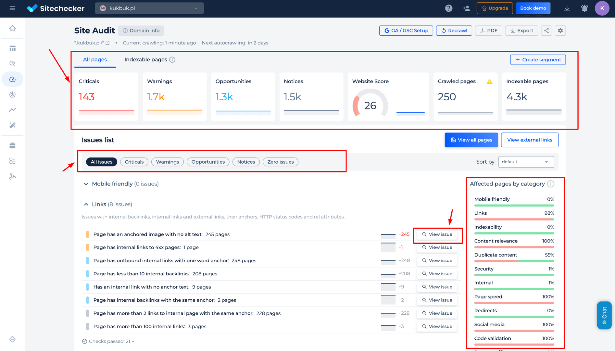 Site Audit Issues