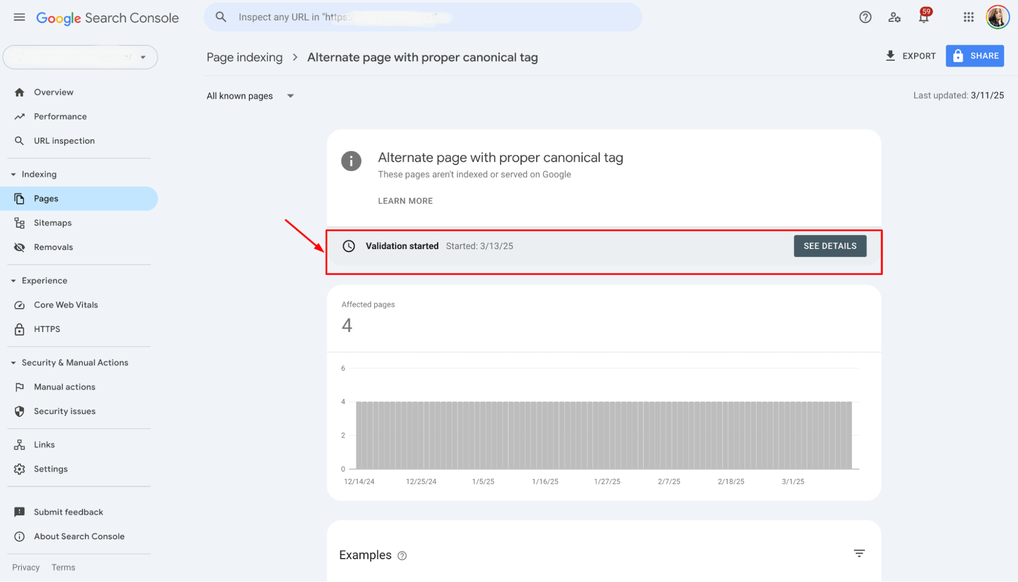 See pages validation started