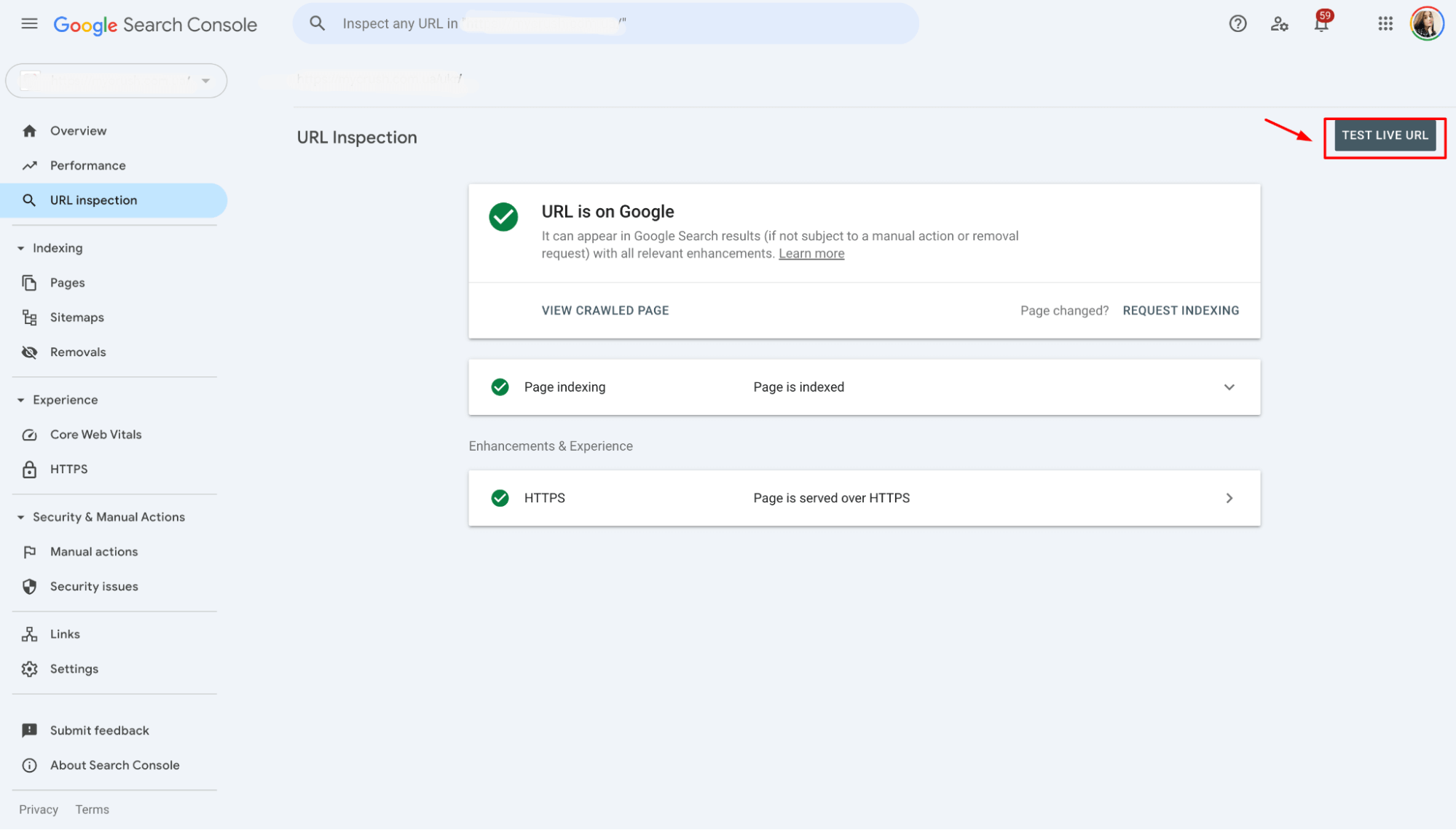 GSC URL Inspection test live URL