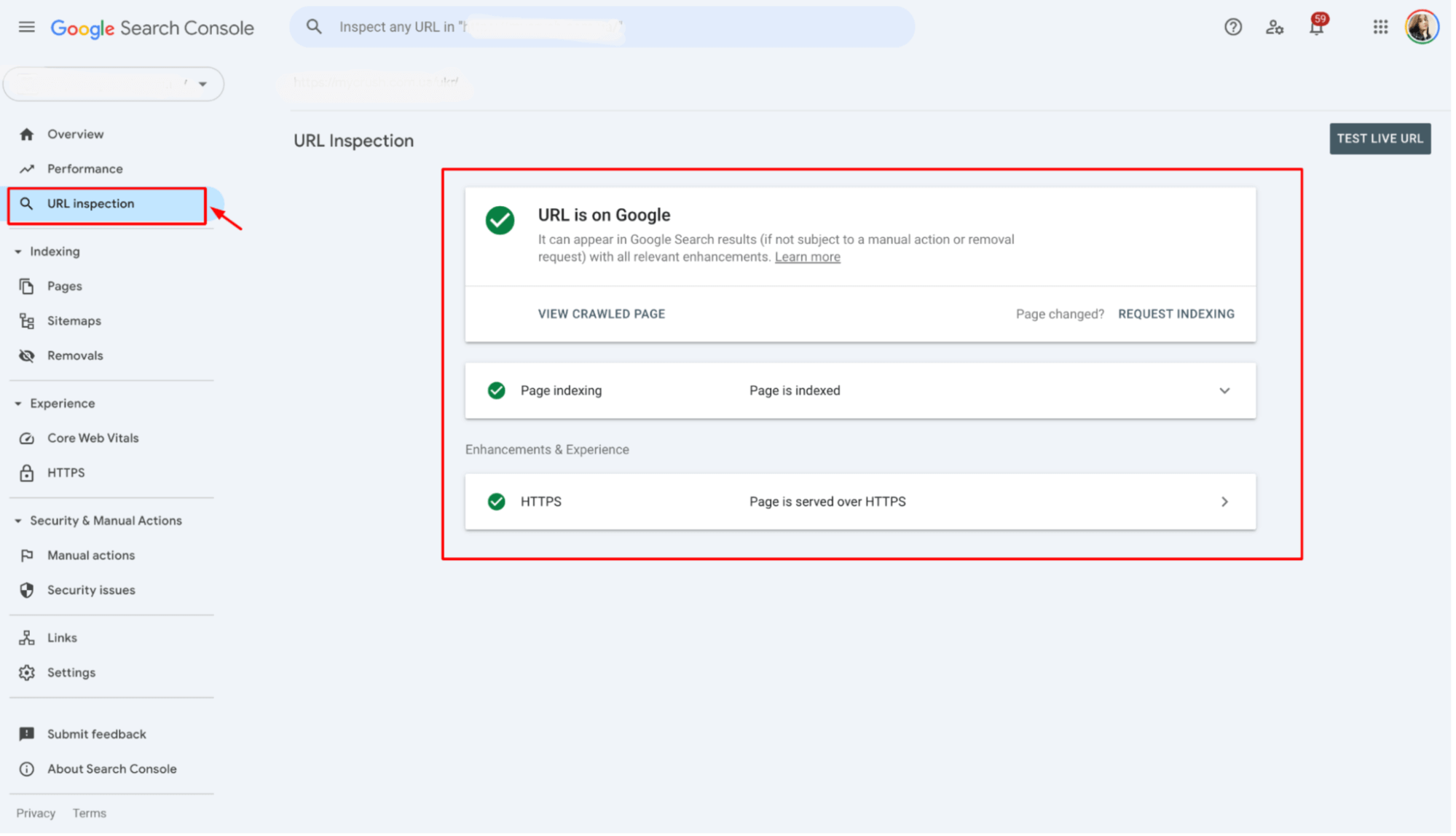 URL Inspection data