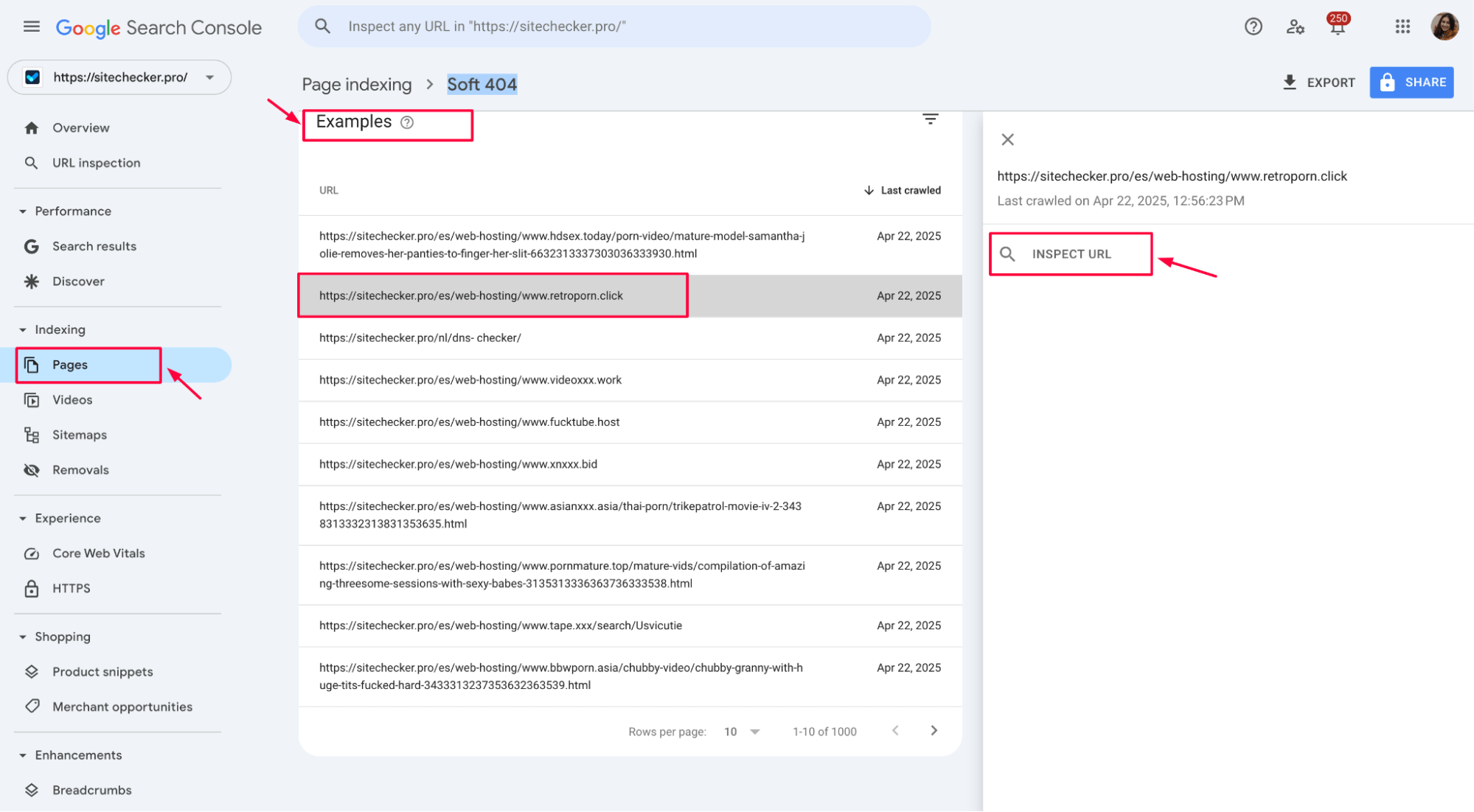 GSC pages example inspect url