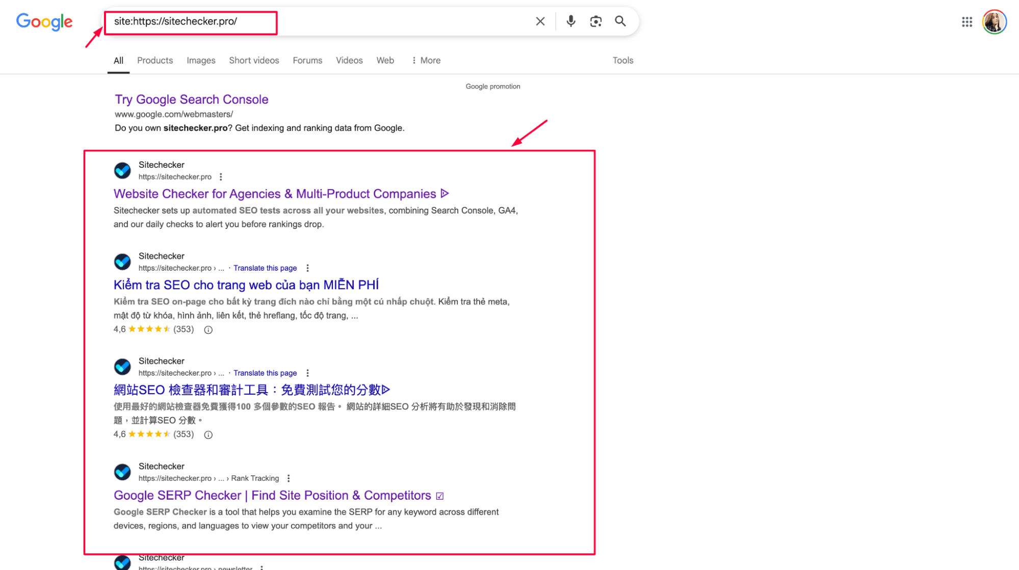 Indexed pages