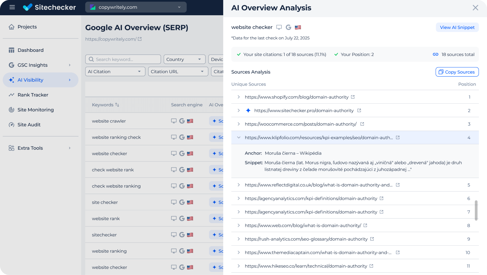 AI overview analysis