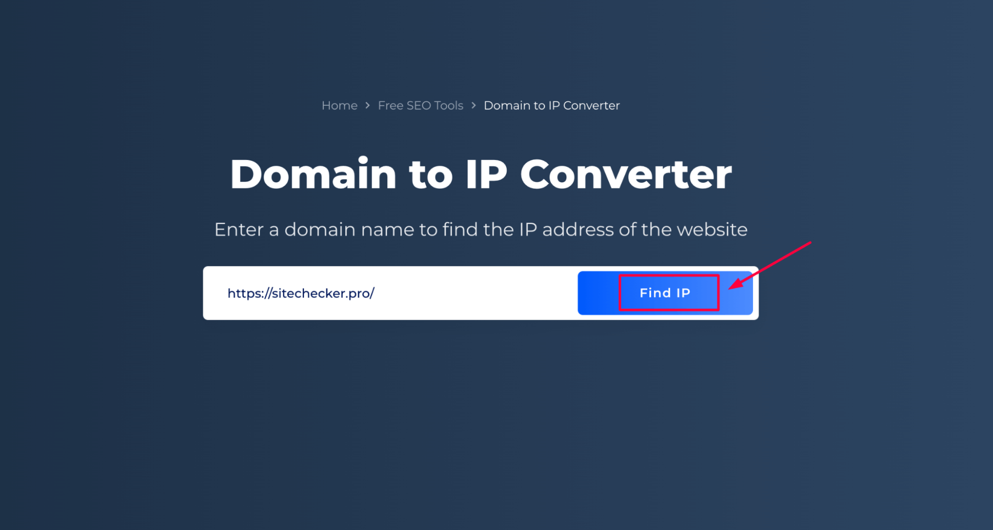 Domain Name to IP Address converter